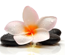 image flower represents the lymphatic drainage